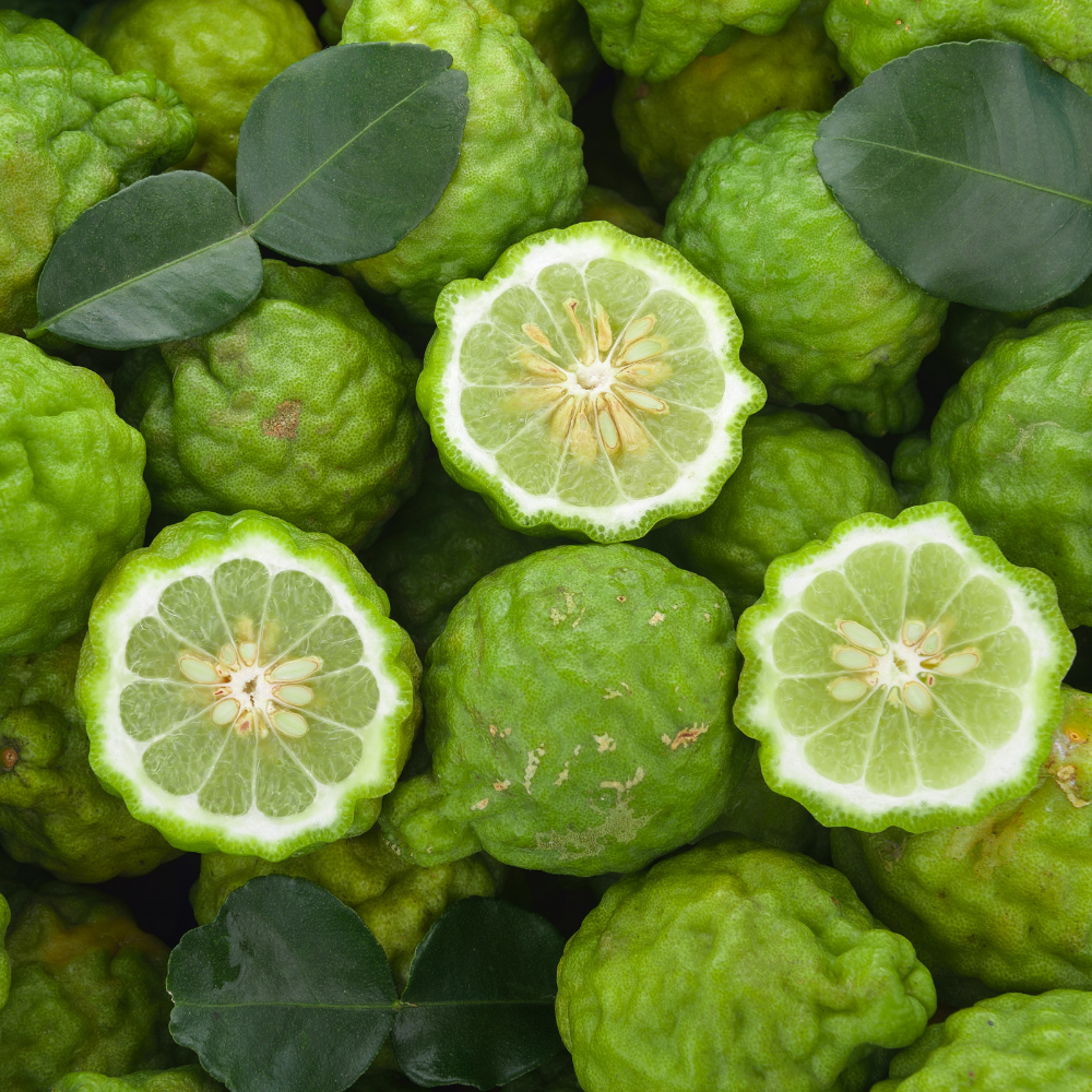 Bergamot BF Essential Oil - Image 2