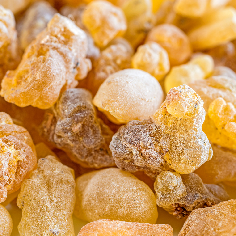Frankincense Essential Oil - Image 3
